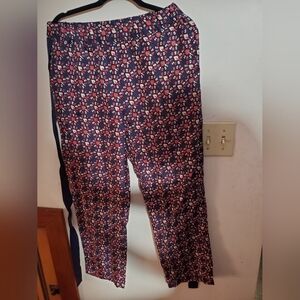 Sz 2 and 3 NWT Raquel Allegra pants